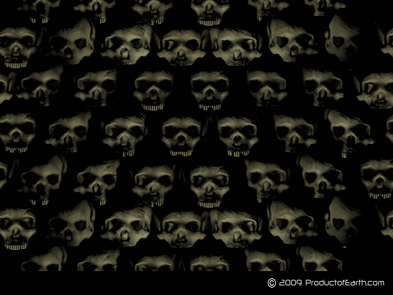 SkullWall