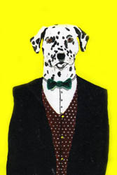 Gent Dalmation